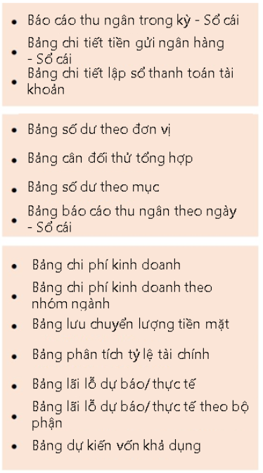 B&aacute;o c&aacute;o t&agrave;i ch&iacute;nh thường được sử dụng