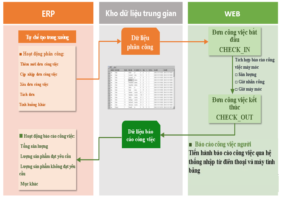 Chuỗi th&ocirc;ng tin b&aacute;o c&aacute;o ERP v&agrave; WEB
