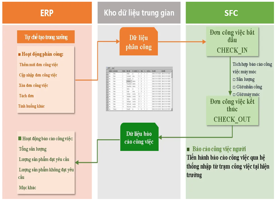 Chuỗi th&ocirc;ng tin b&aacute;o c&aacute;o ERP v&agrave; SFC